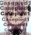casepied1