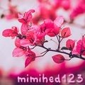 mimihed123