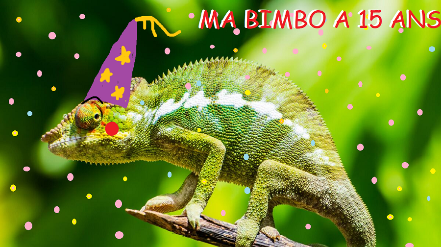 https://photo.ma-bimbo.com/fr/30/14636/moy/11708208.jpg