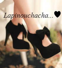 Lapinouchacha