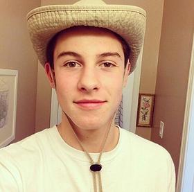 MendesArmy