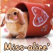 miss-alice34